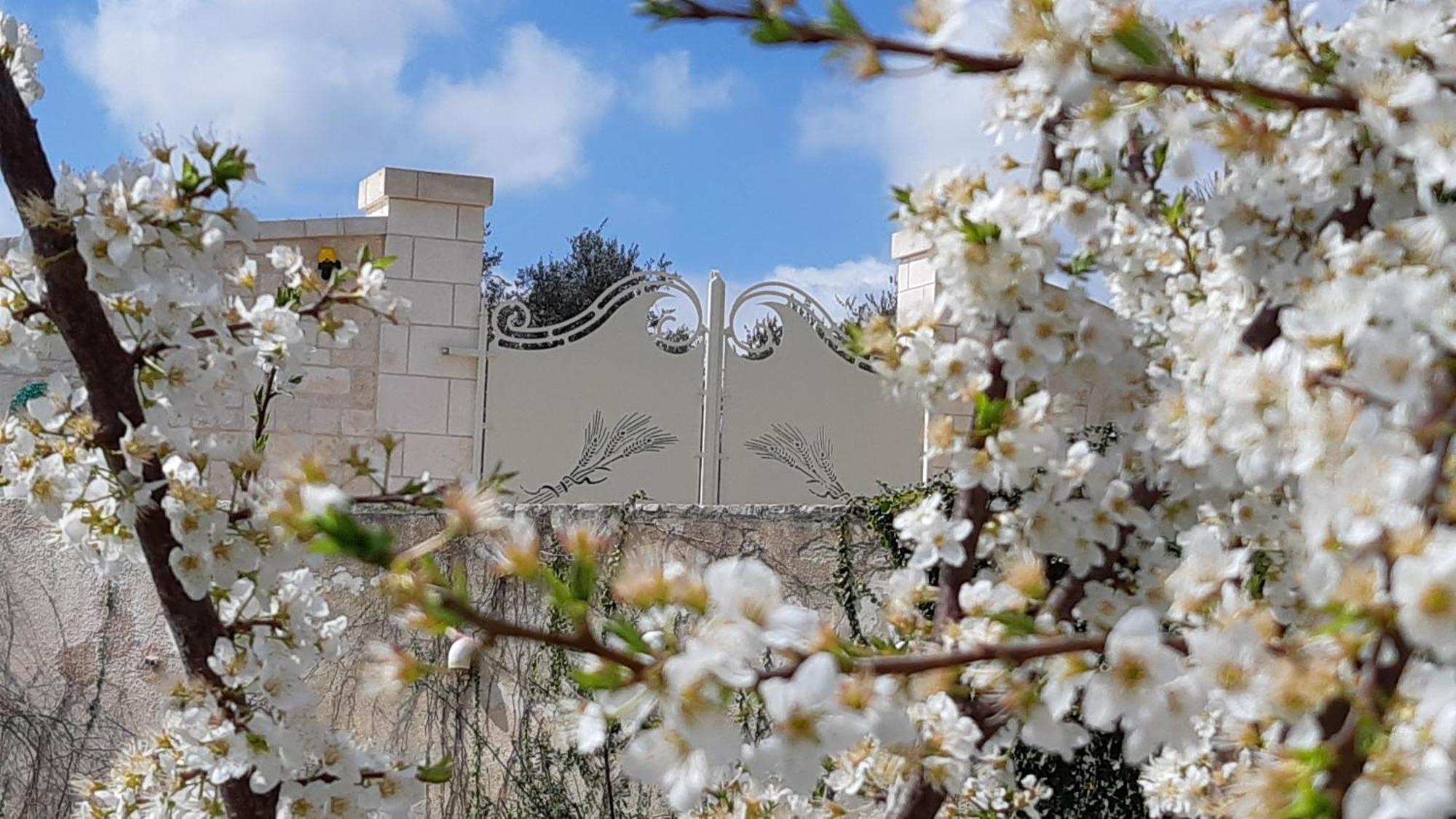 Villa Karmel Valle D'Itria Cisternino Εξωτερικό φωτογραφία