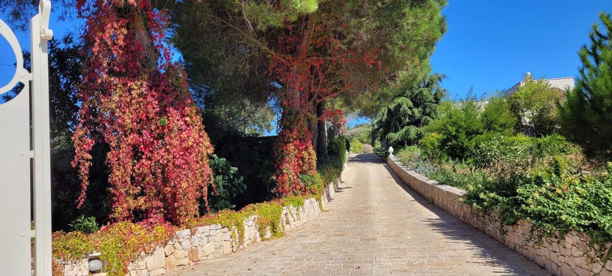 Villa Karmel Valle D'Itria Cisternino Εξωτερικό φωτογραφία