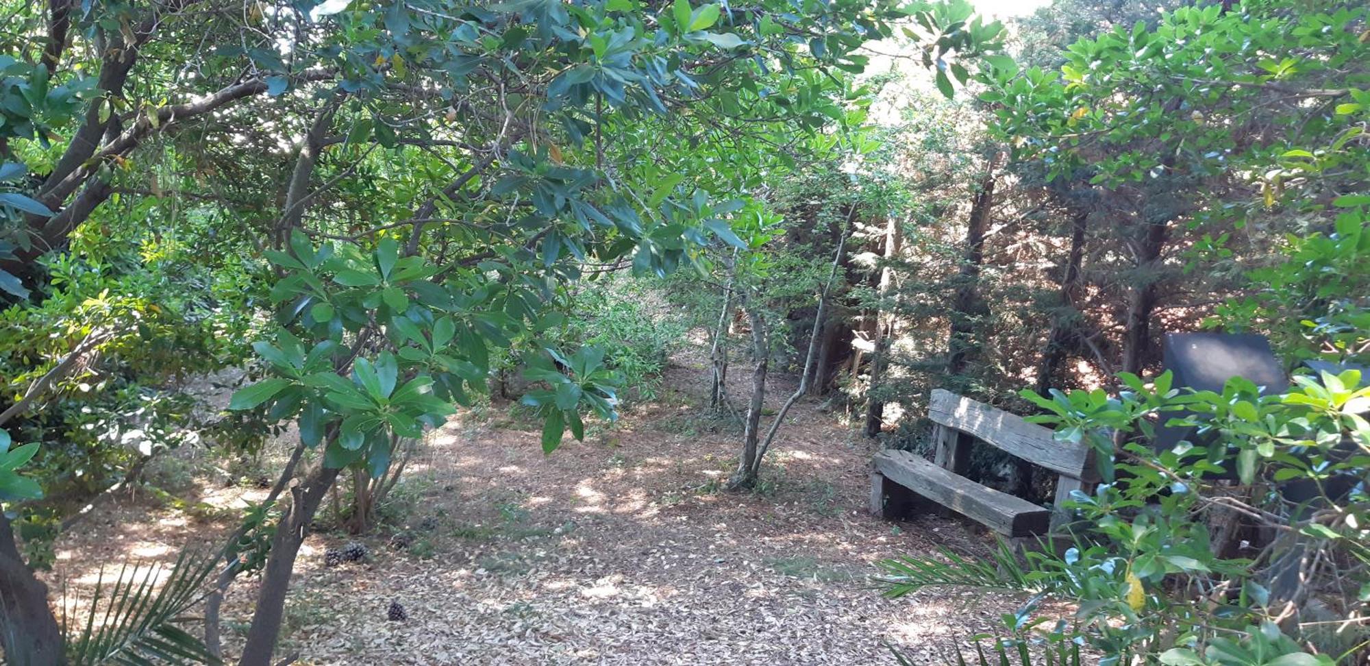 Villa Karmel Valle D'Itria Cisternino Εξωτερικό φωτογραφία