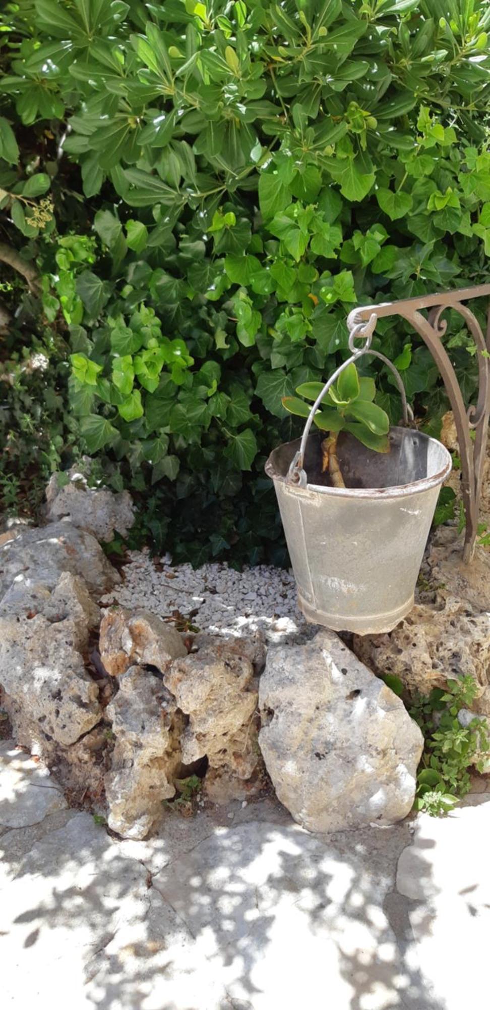 Villa Karmel Valle D'Itria Cisternino Εξωτερικό φωτογραφία